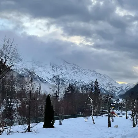 Grand Roc - Campanules 015 - Happy Apartment Chamonix